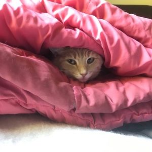 Meet your Posher, Mariska